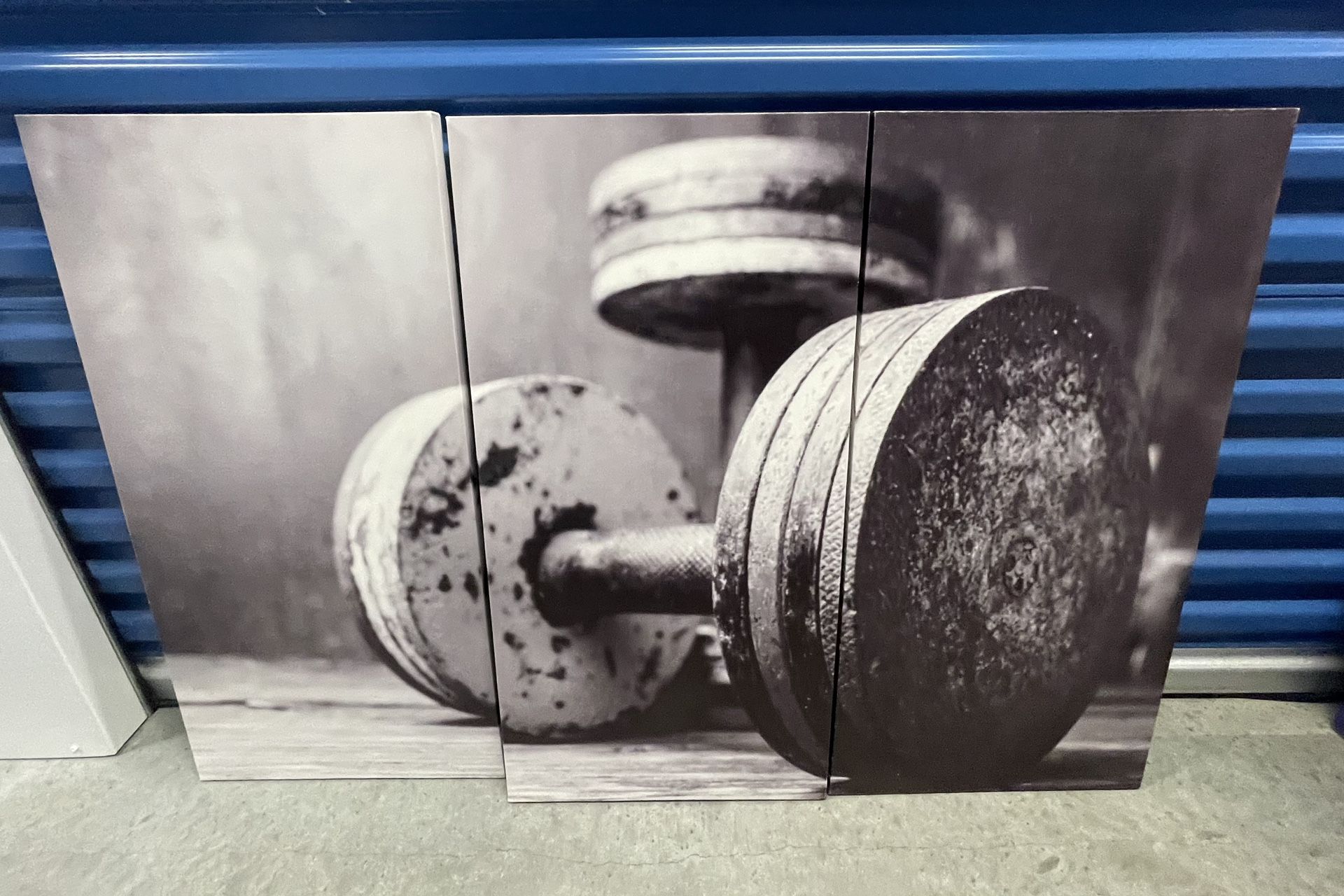 Dumbbell Fitness Canvas Artwork