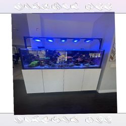 High-Quality Aquarium System - Premium Standard Choice floor any
