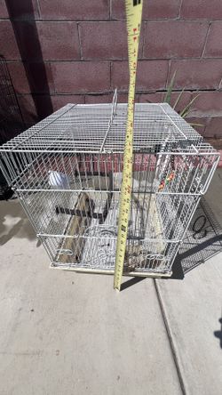 Birds Cage