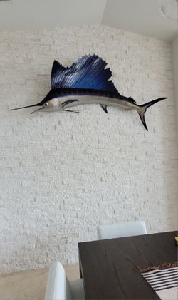 Large Pacific Sailfish Mount