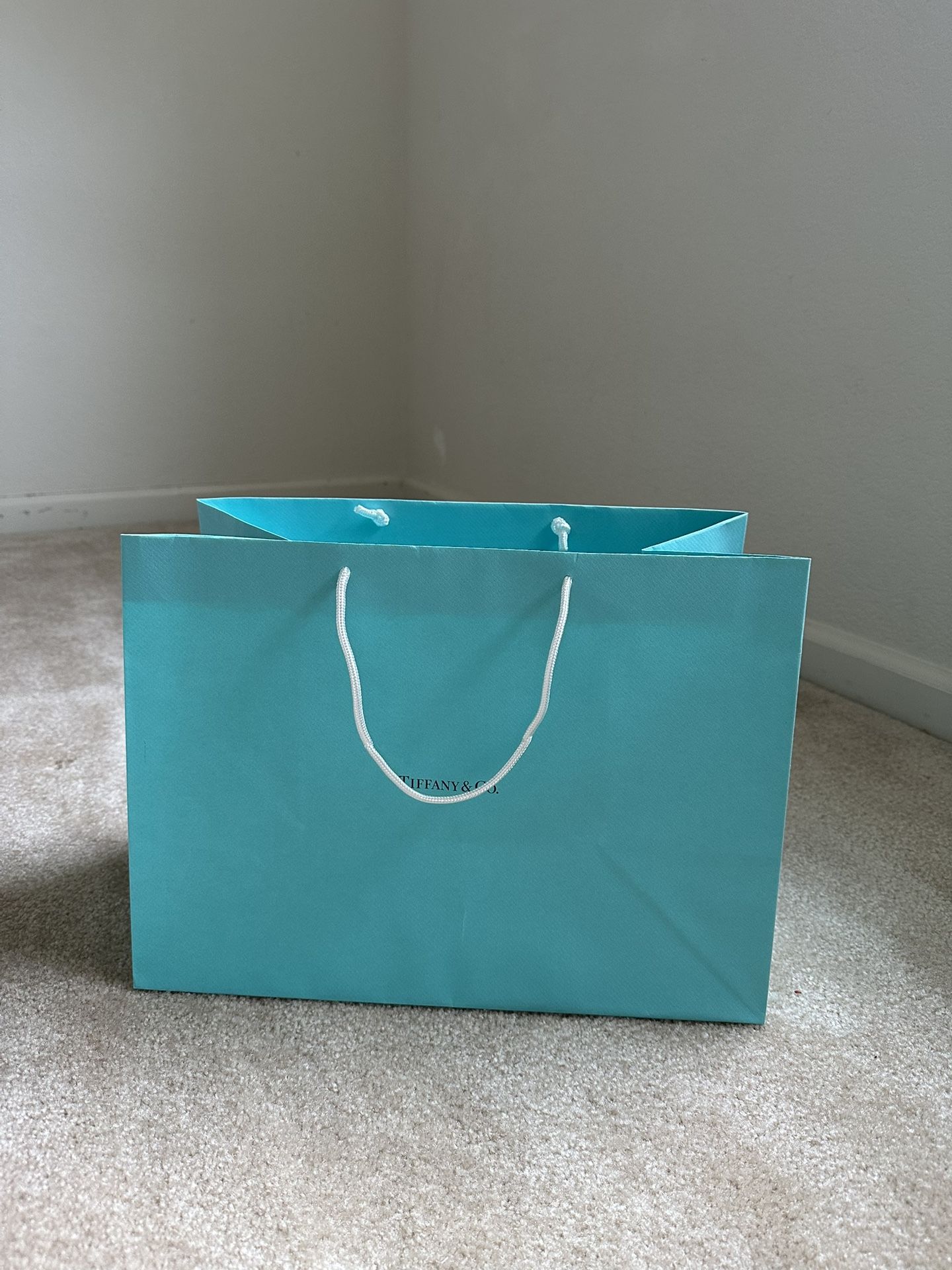 tiffany co shopping bag