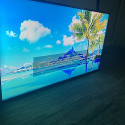 50 Inch LG Flatscreen Tv