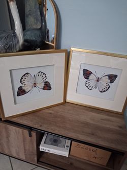 Butterfly glass frame