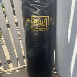 Everlast Heavy Bag – Good Condition Boxing / MMA Training Bag