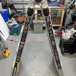 Gorilla  Extension Ladder