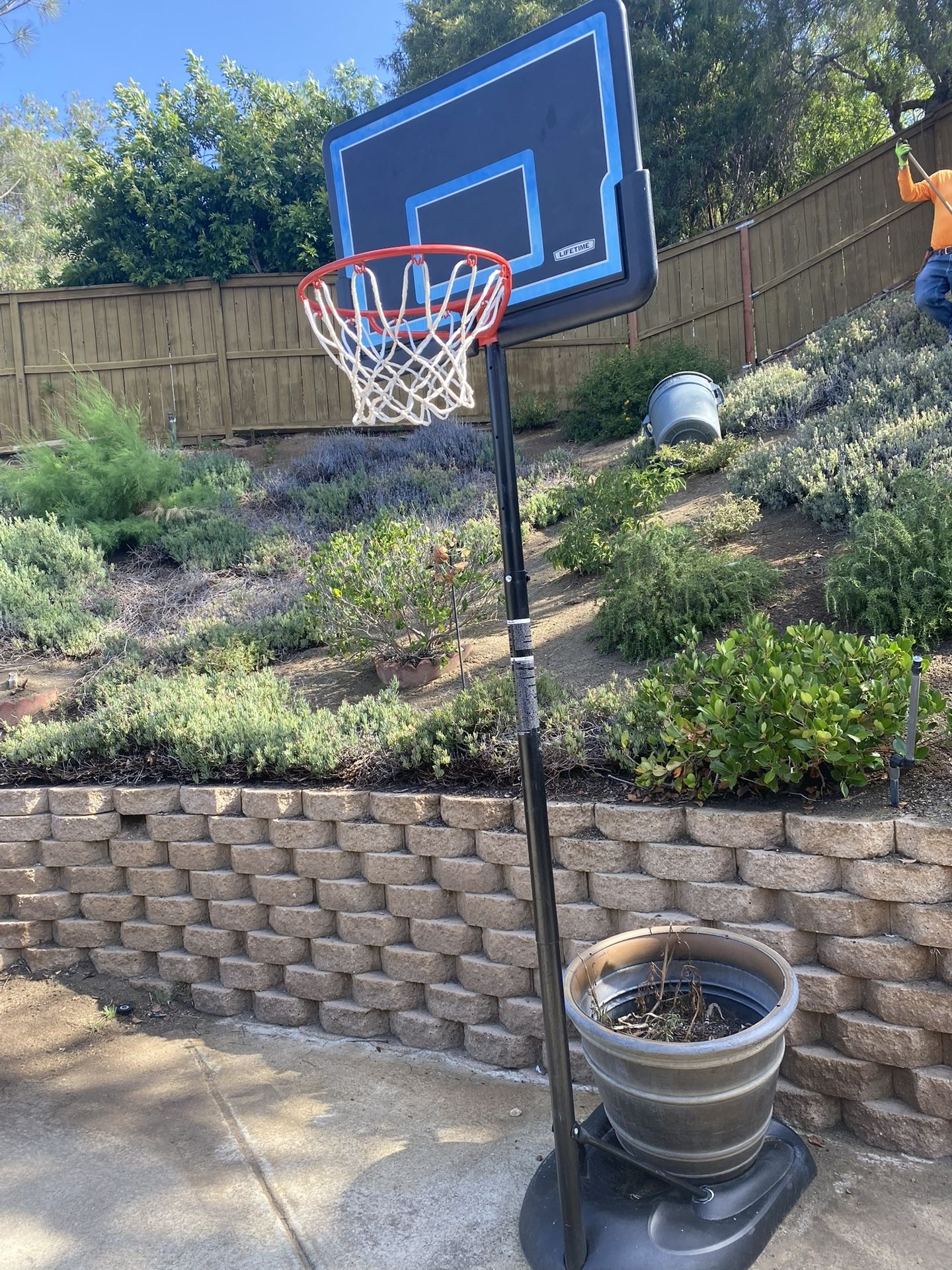 LIFETIME Basketball Hoop