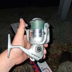 Spinning Reel