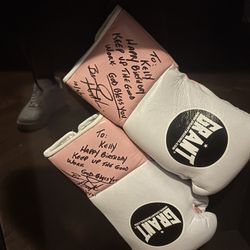 Autograph boxing gloves