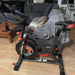 Schwinn IC4