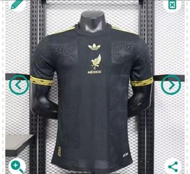 Cami a a copa Oro Version Jugador