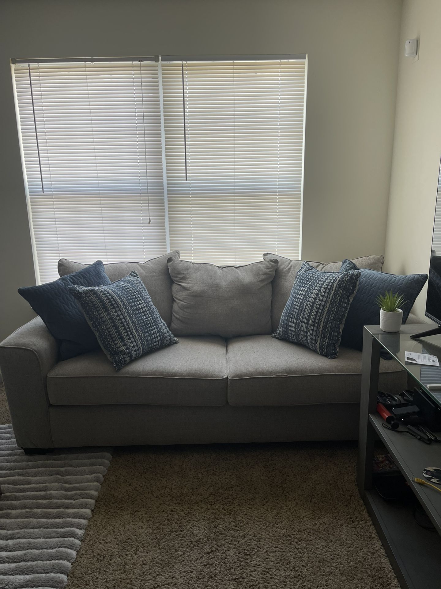 Light Beige/gray Couch
