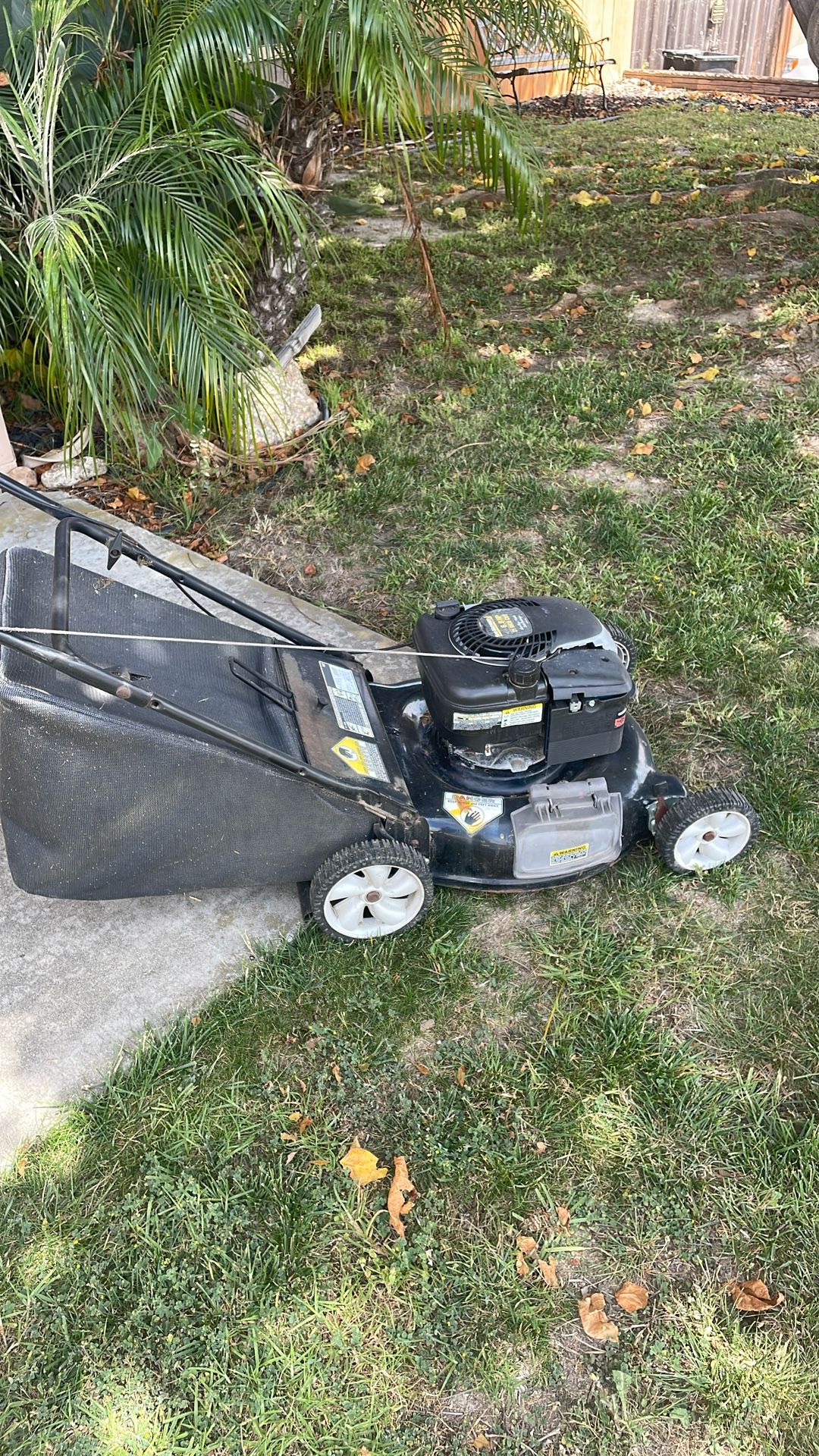 Push Mower