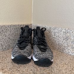 Lebron Zoom6.5y