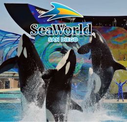 sea world ticket