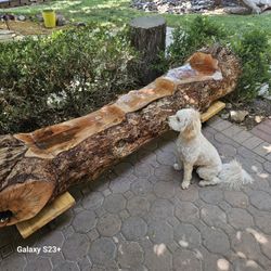 Log Bench 