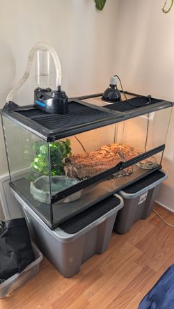 Reptile tank