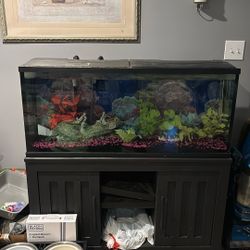 55 Fish Tank Cheap