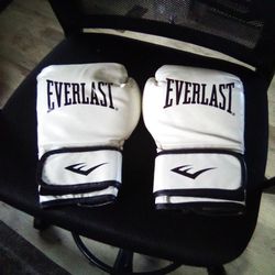 Boxing Gloves (Everlast White)