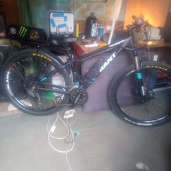 Giant Talon  Custom E-bike