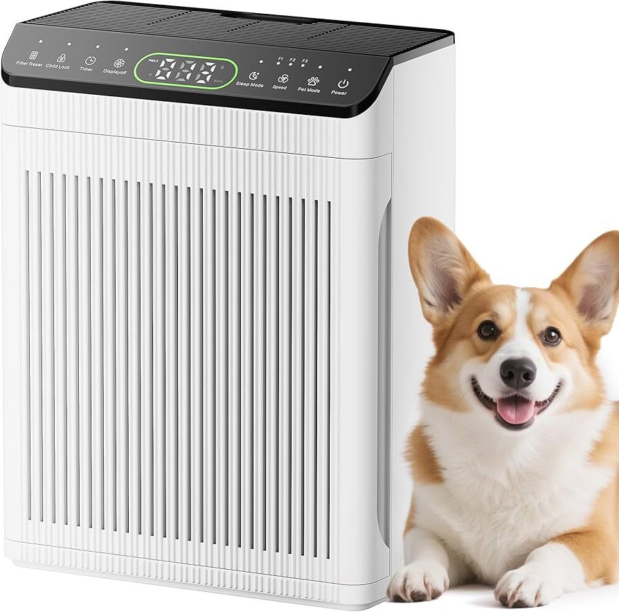 Air Purifiers