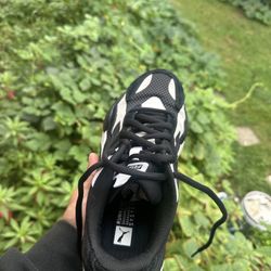 Pumas 