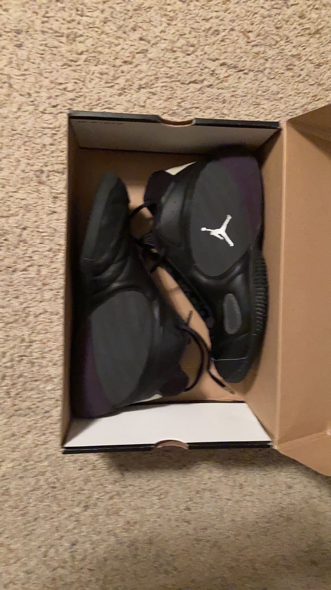 Air Jordan Moss’afied