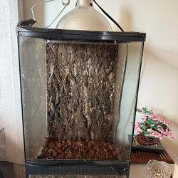 Exo Terra Glass Terrarium & reptile lamp