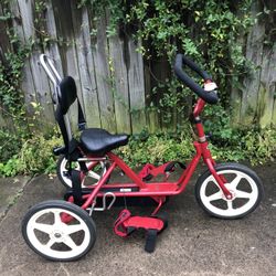 Adult tricycle