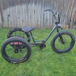 3 wheel fat tire trike