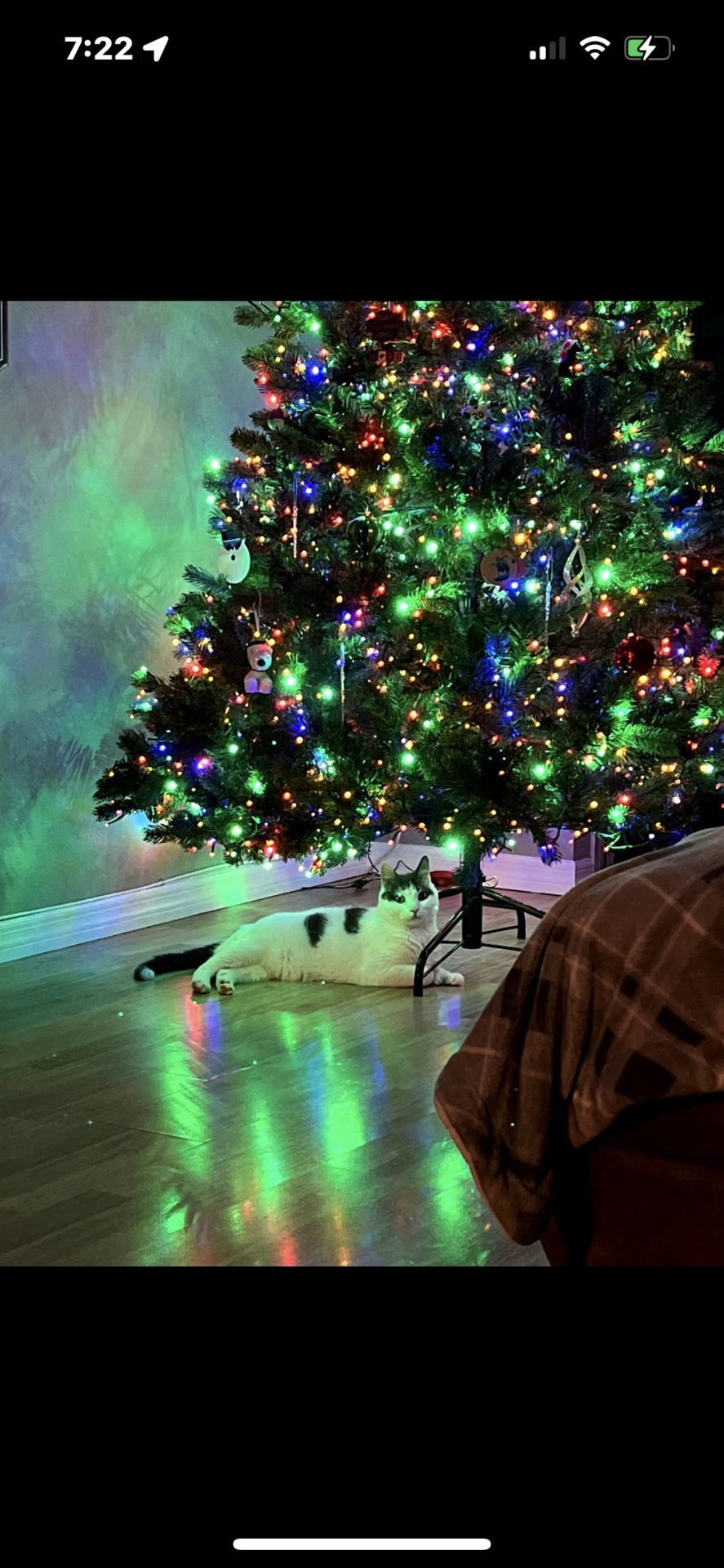 Christmas Tree With Microdot Led Lights