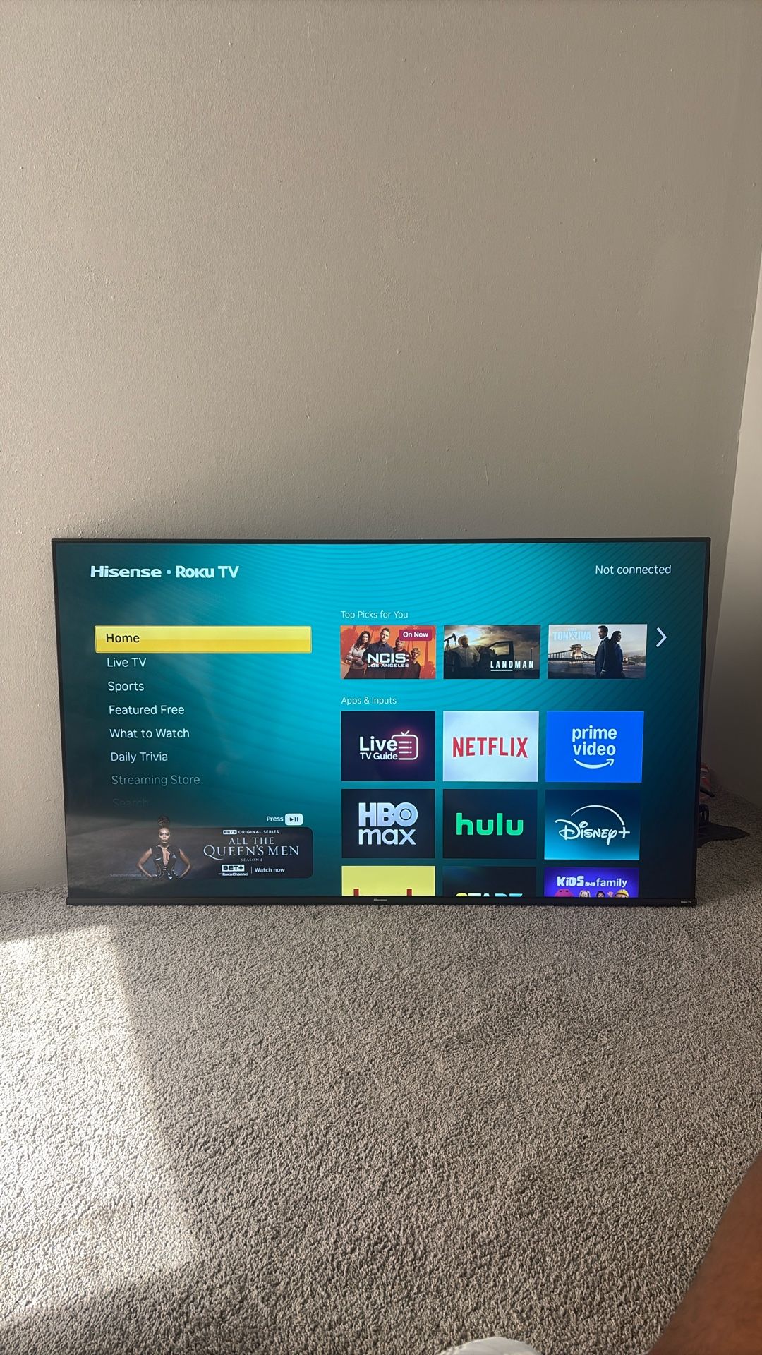 58 Hisense Smart Tv (2024)