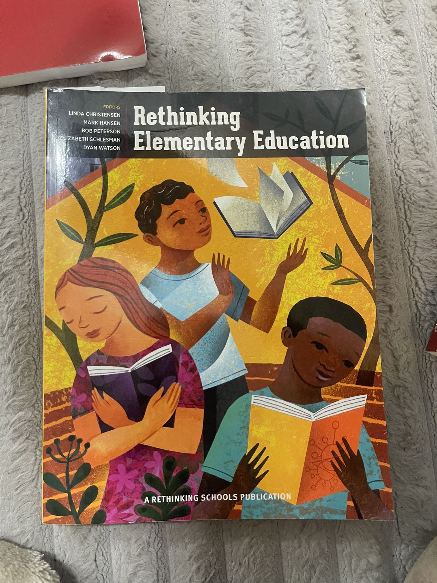 Rethinking Elementary Education