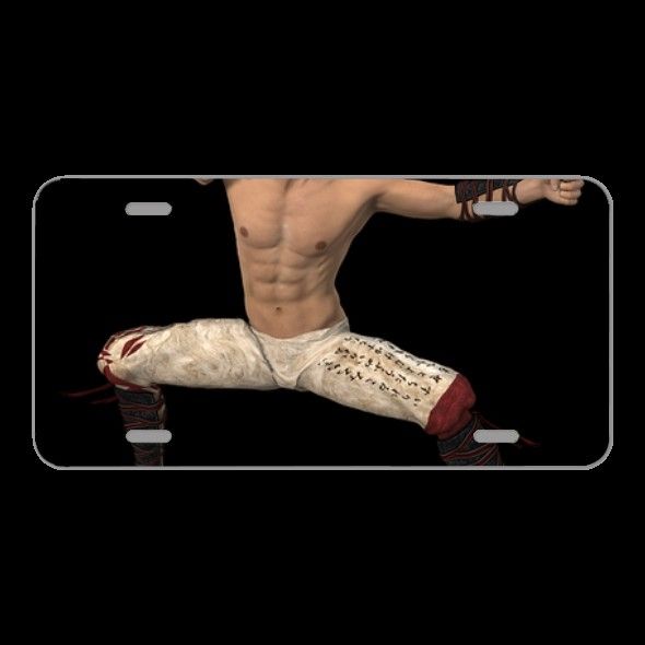 License Plate Novelty Car Front Man Martial Arts Fighter