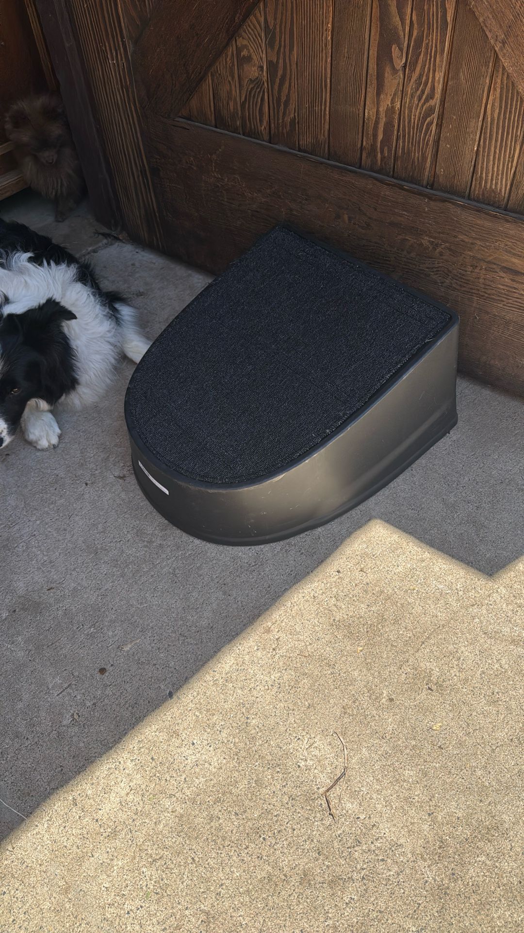 Frisco plastic, easy, step, cat, and dog ramp