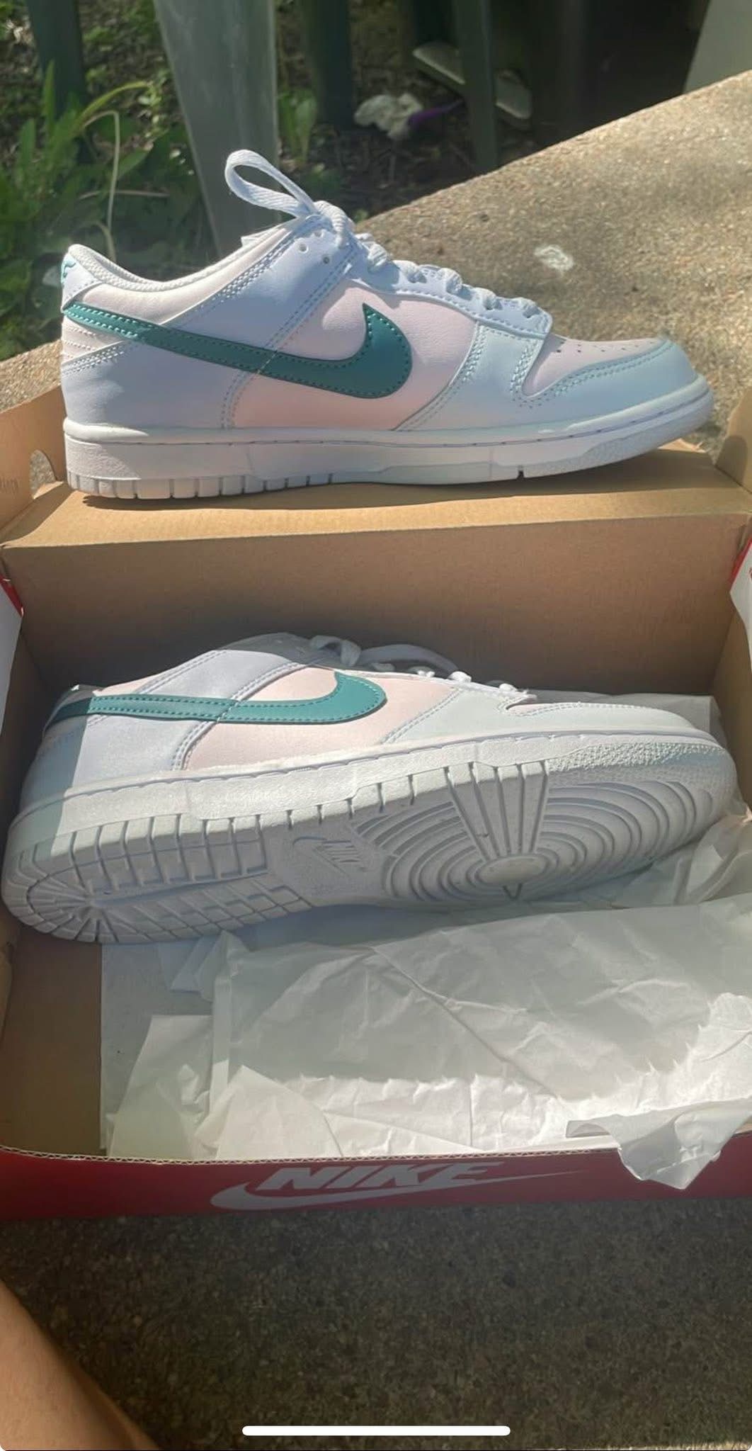 Nike Dunk Low Gs