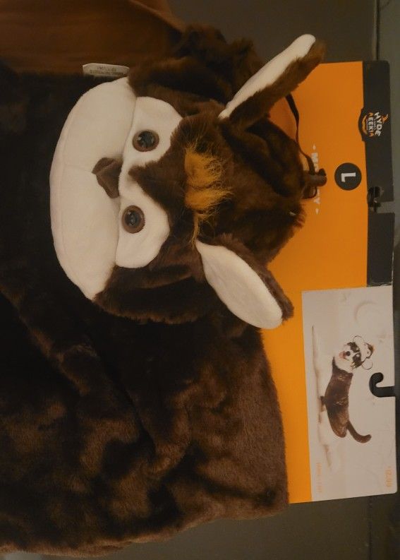 Pet costume