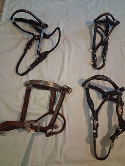 Show Halters with Silver plated
