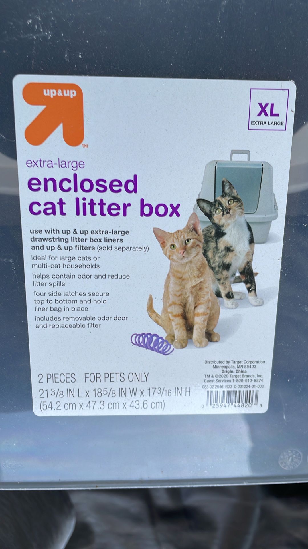 Cat Little Box