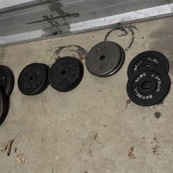 Assortment of Weight Plates 