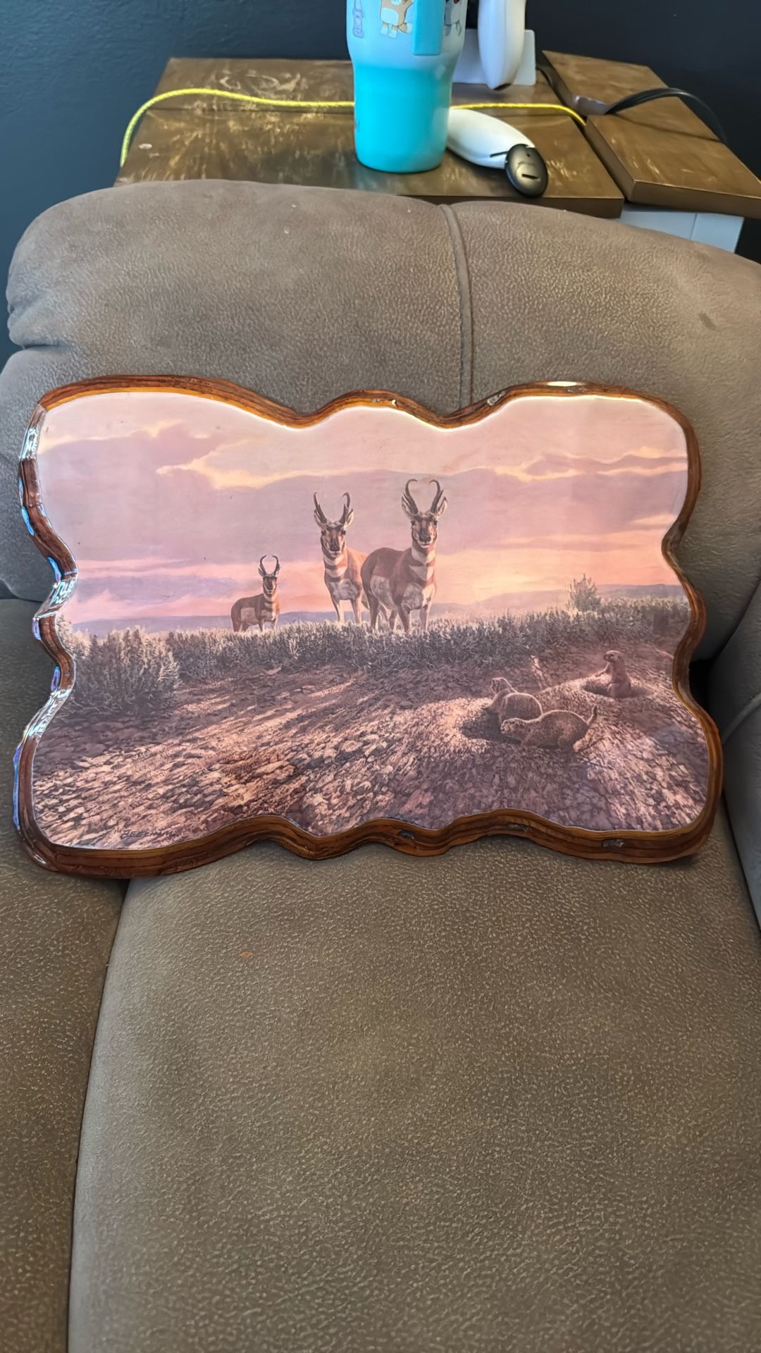 Antelope Picture