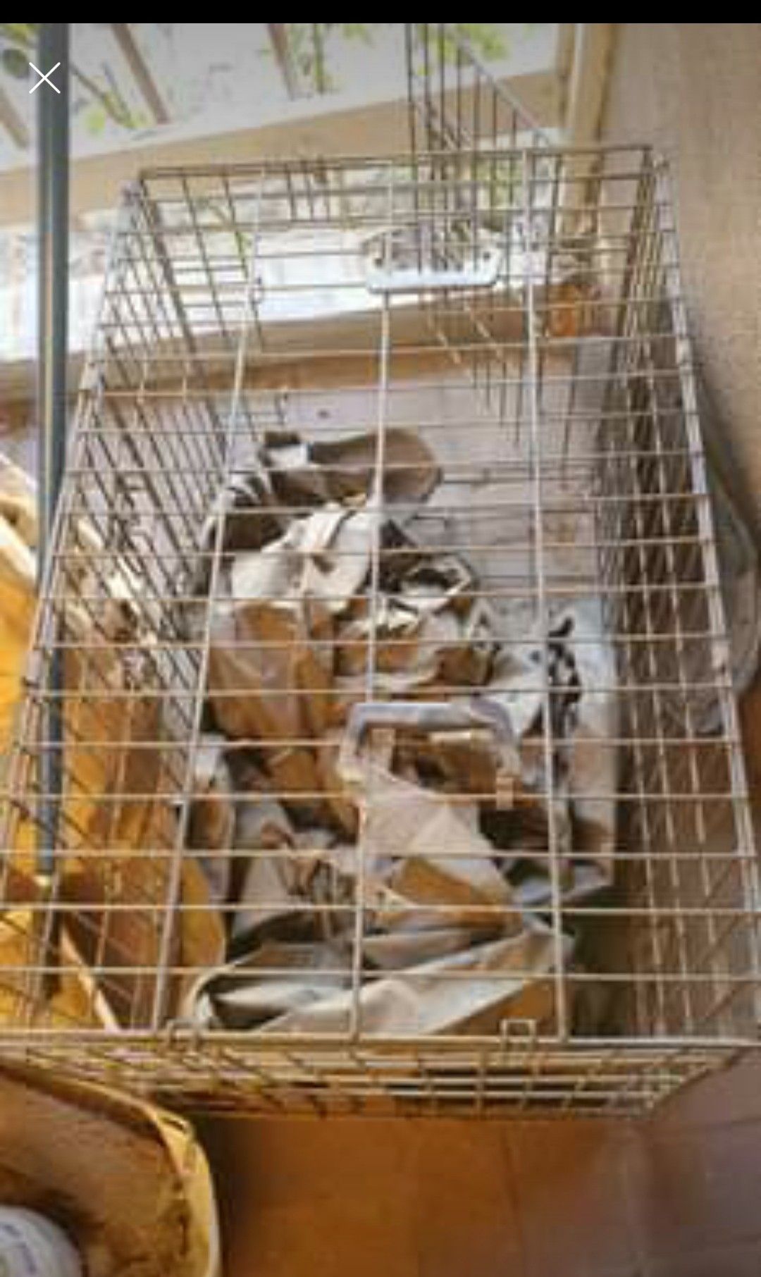 Medium dog kennel
