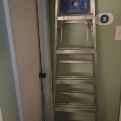 6ft Ladder