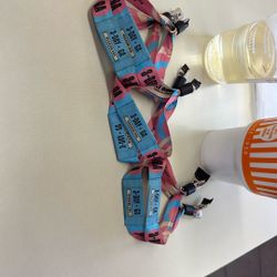 Austin City Limits Sunday Passes $125