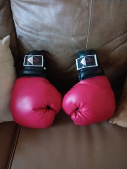 Century boxing gloves (2pc)