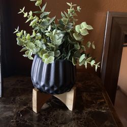 Small Plant Decor