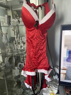 Bustier Garters And Shorts