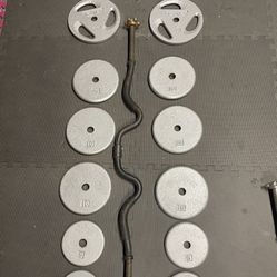 Weight Plates / Curl Bar.         70 Dollars 