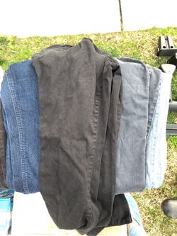 Maternity pants