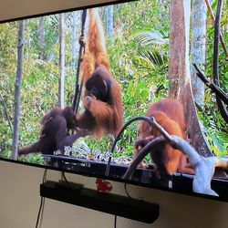 Samsung 50” TV