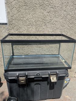 Large fishtank